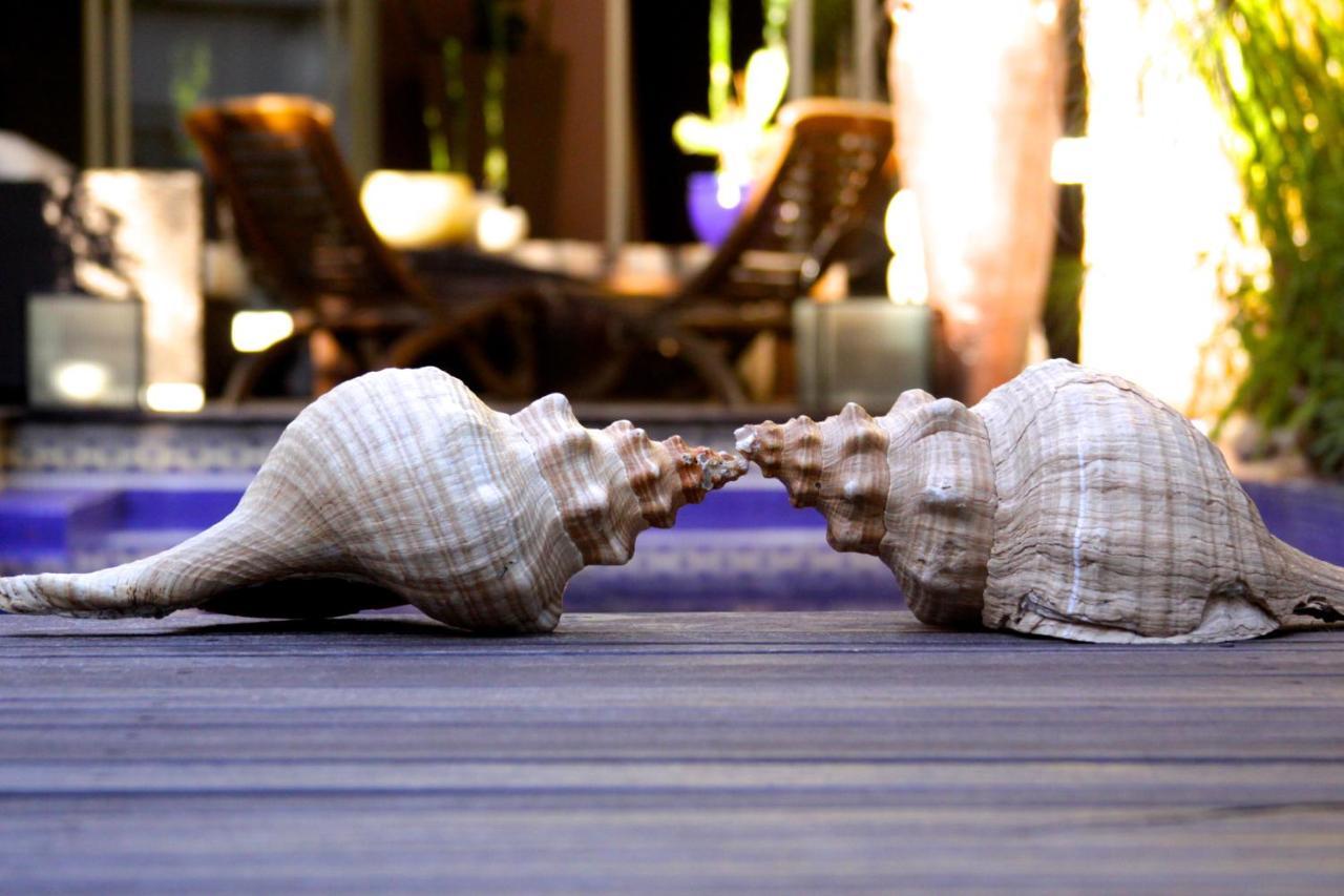 Cool Clima Bed and Breakfast Olivos Esterno foto