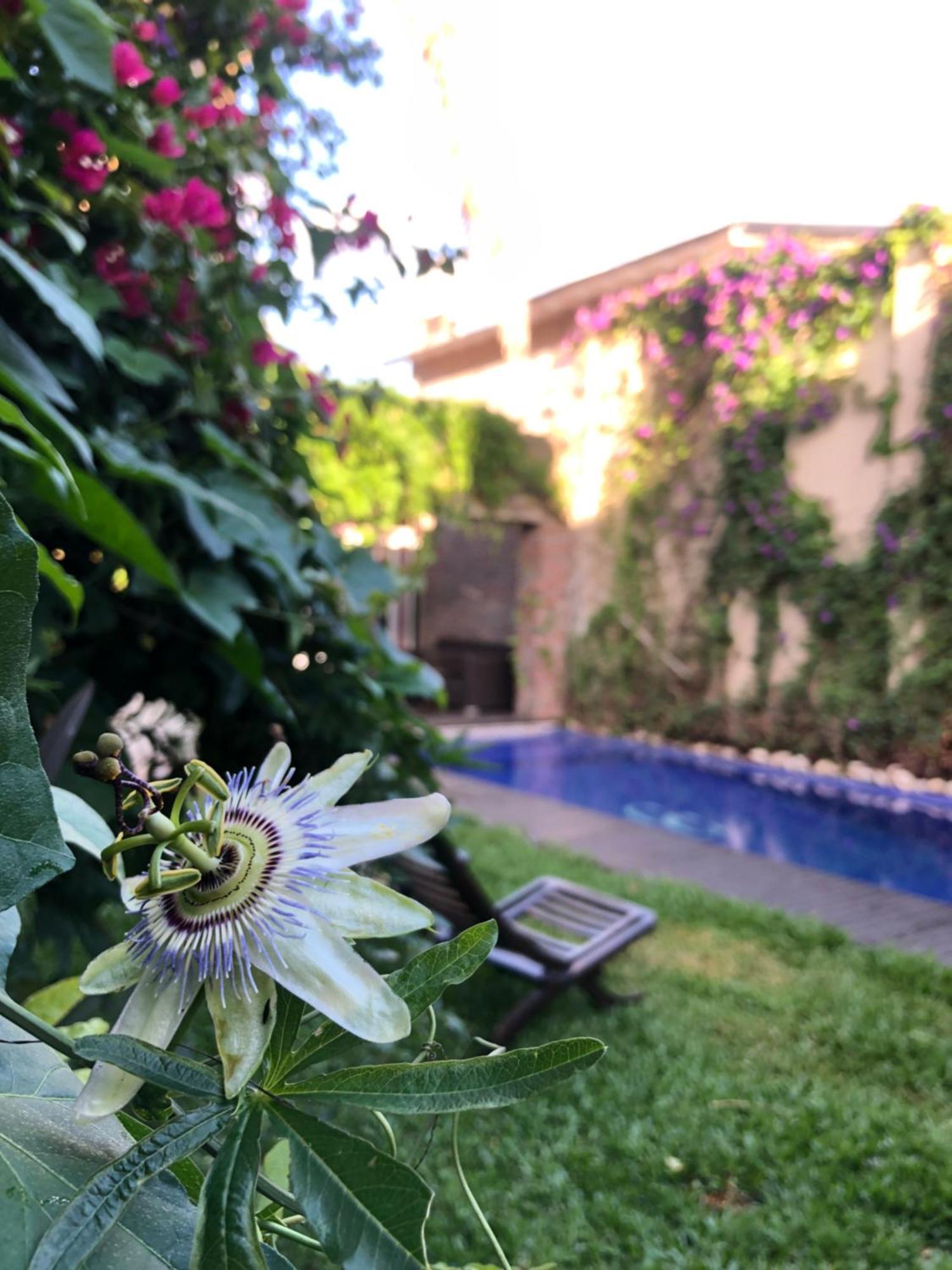 Cool Clima Bed and Breakfast Olivos Esterno foto