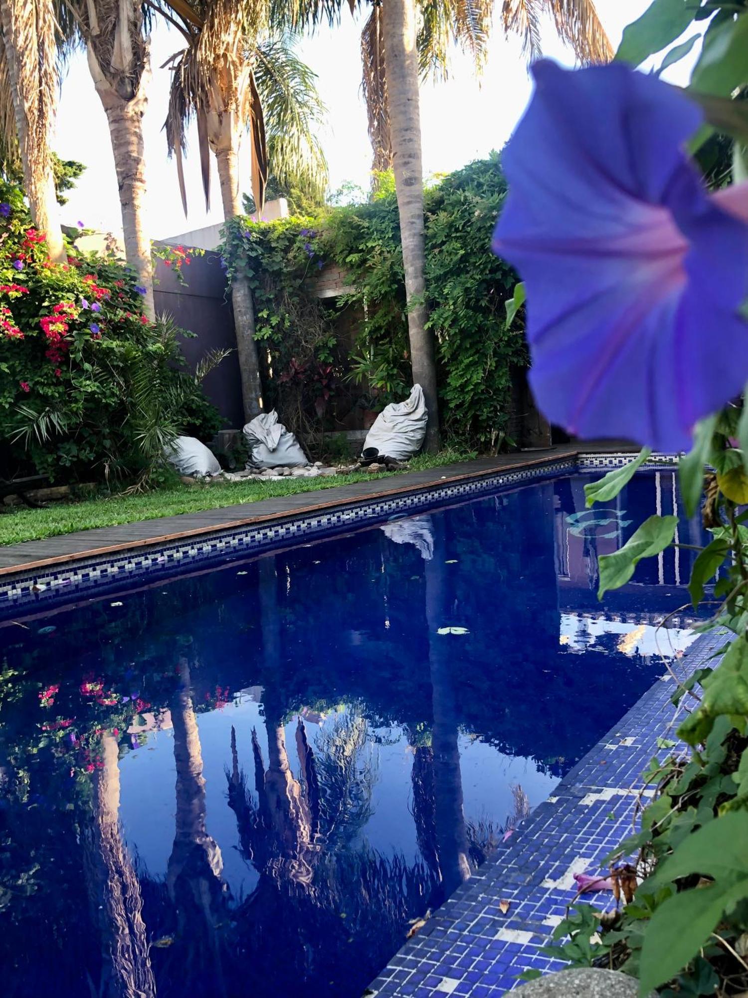 Cool Clima Bed and Breakfast Olivos Esterno foto