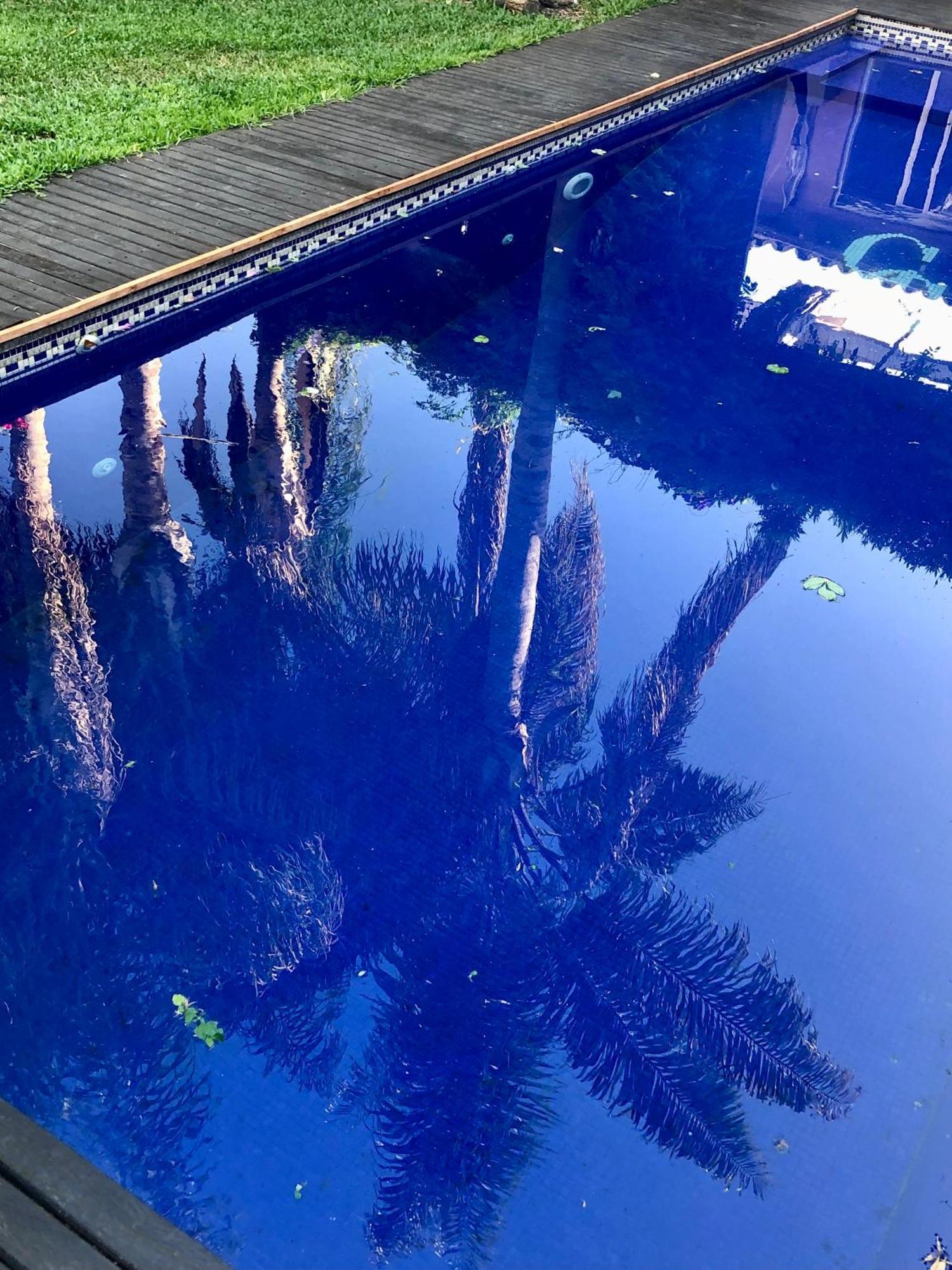 Bed and Breakfast Cool Clima Olivos Esterno foto