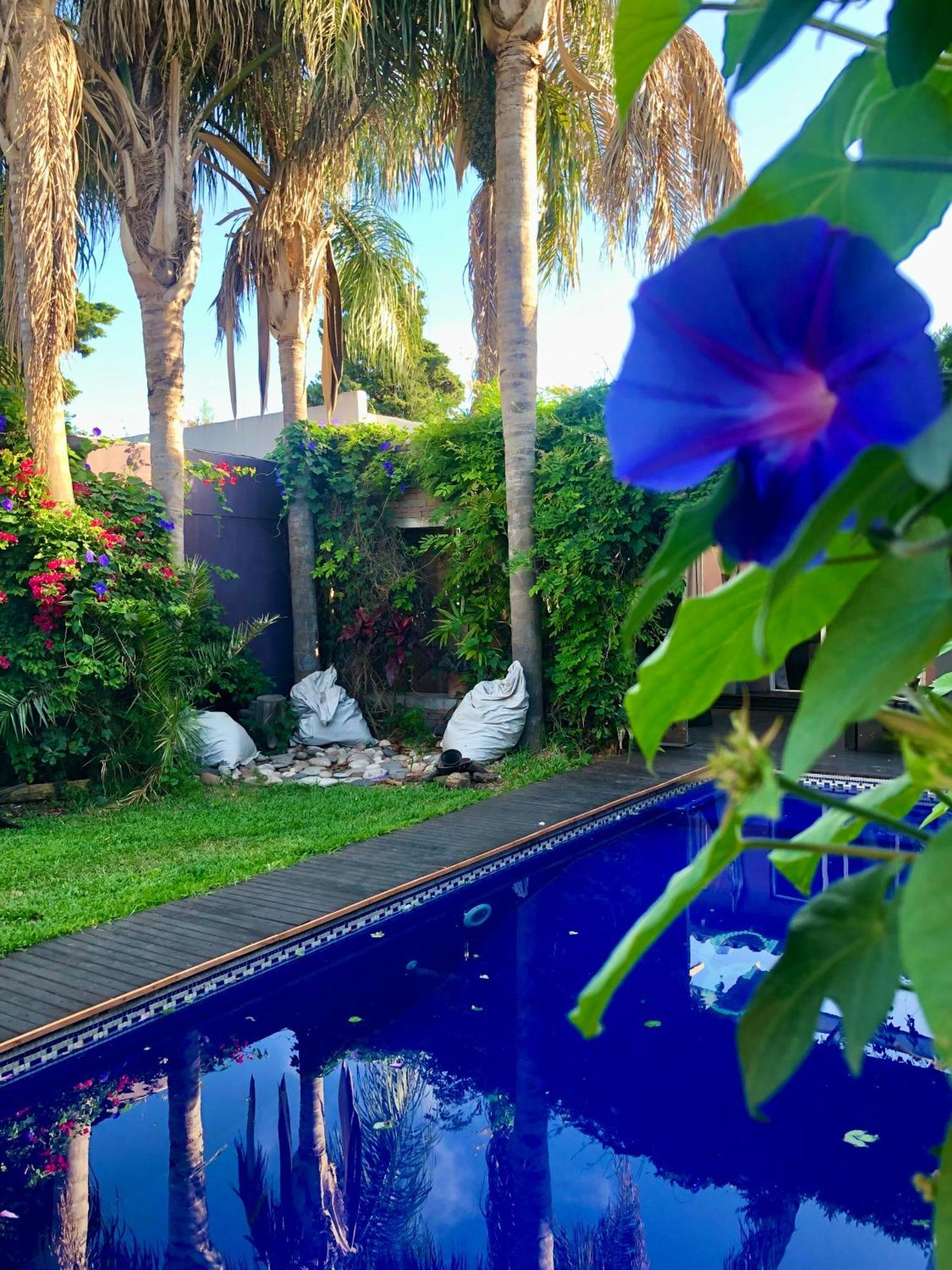 Cool Clima Bed and Breakfast Olivos Esterno foto