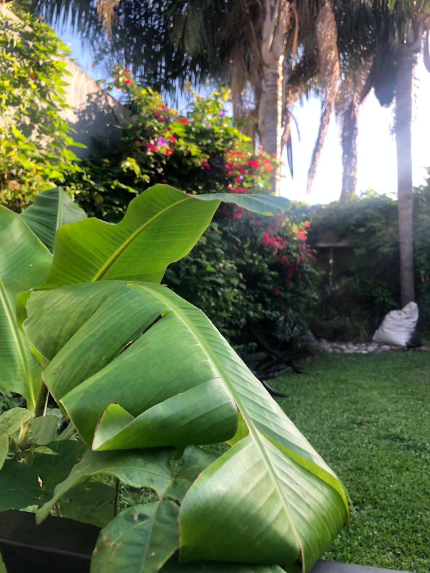 Cool Clima Bed and Breakfast Olivos Esterno foto