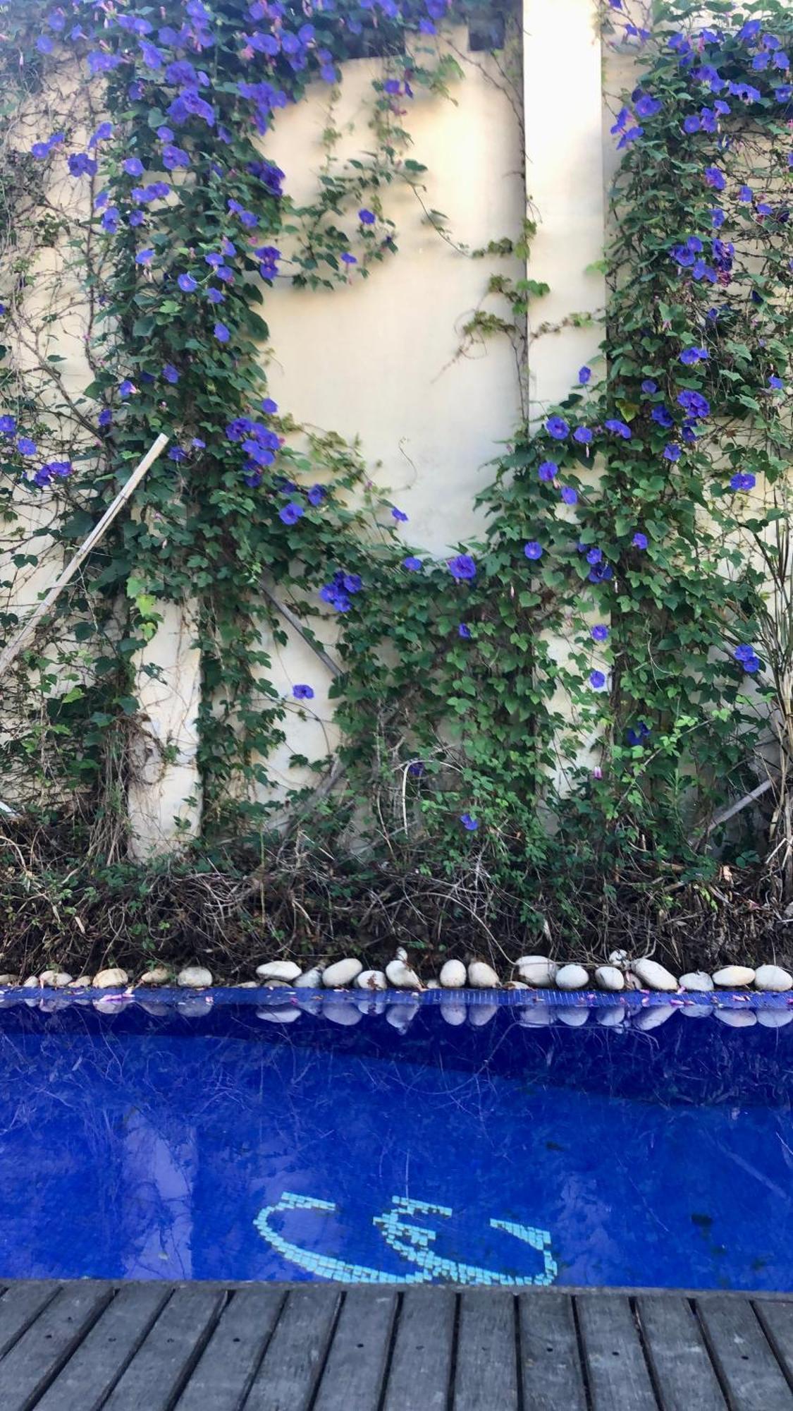 Bed and Breakfast Cool Clima Olivos Esterno foto