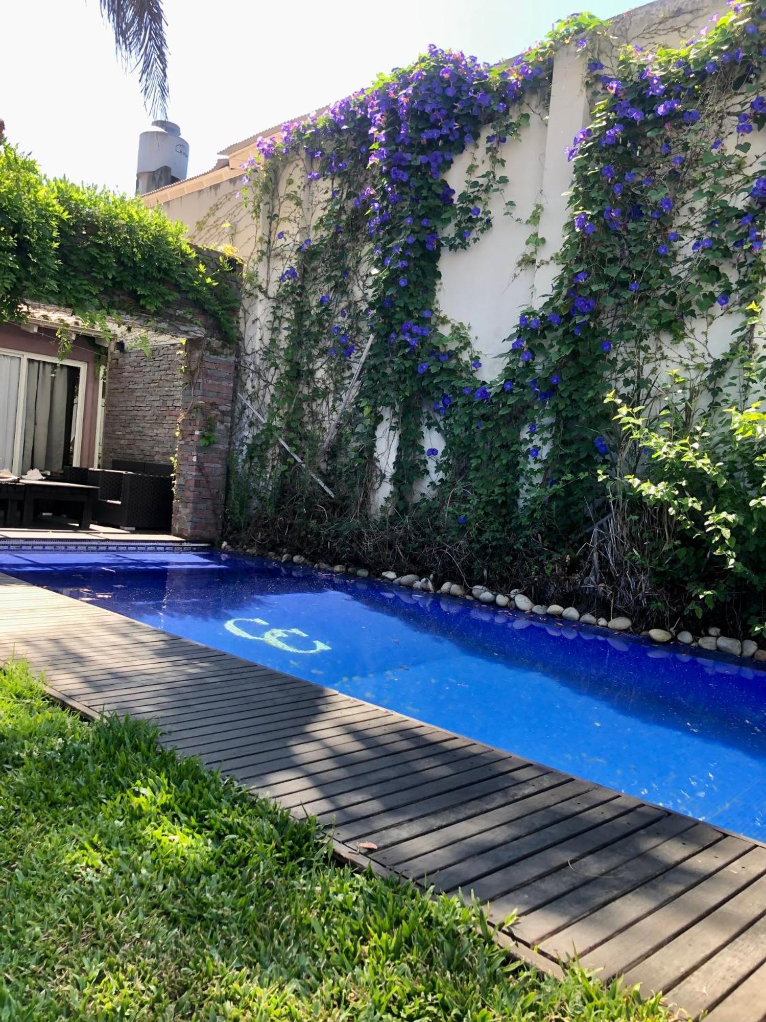 Bed and Breakfast Cool Clima Olivos Esterno foto