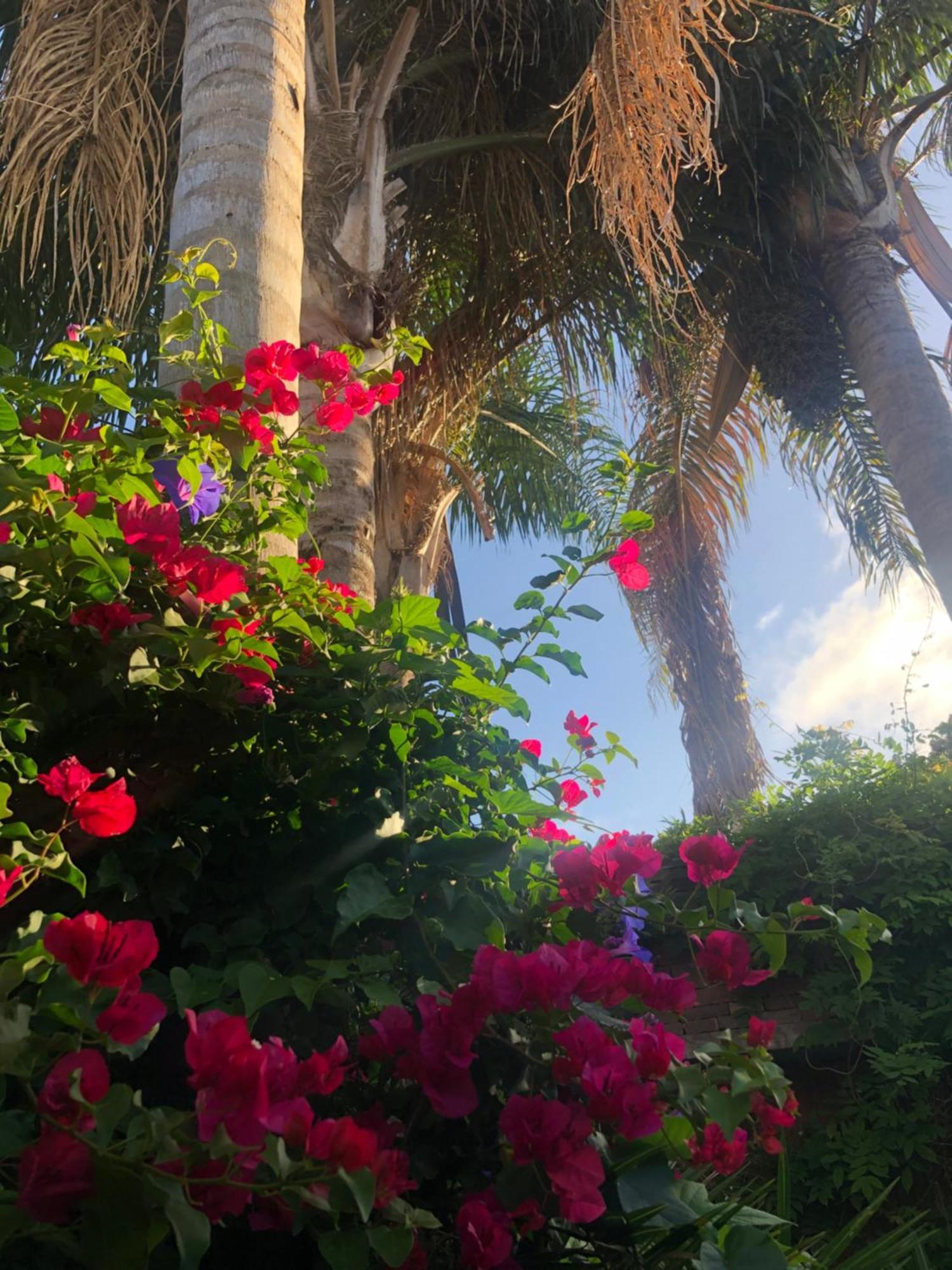Cool Clima Bed and Breakfast Olivos Esterno foto
