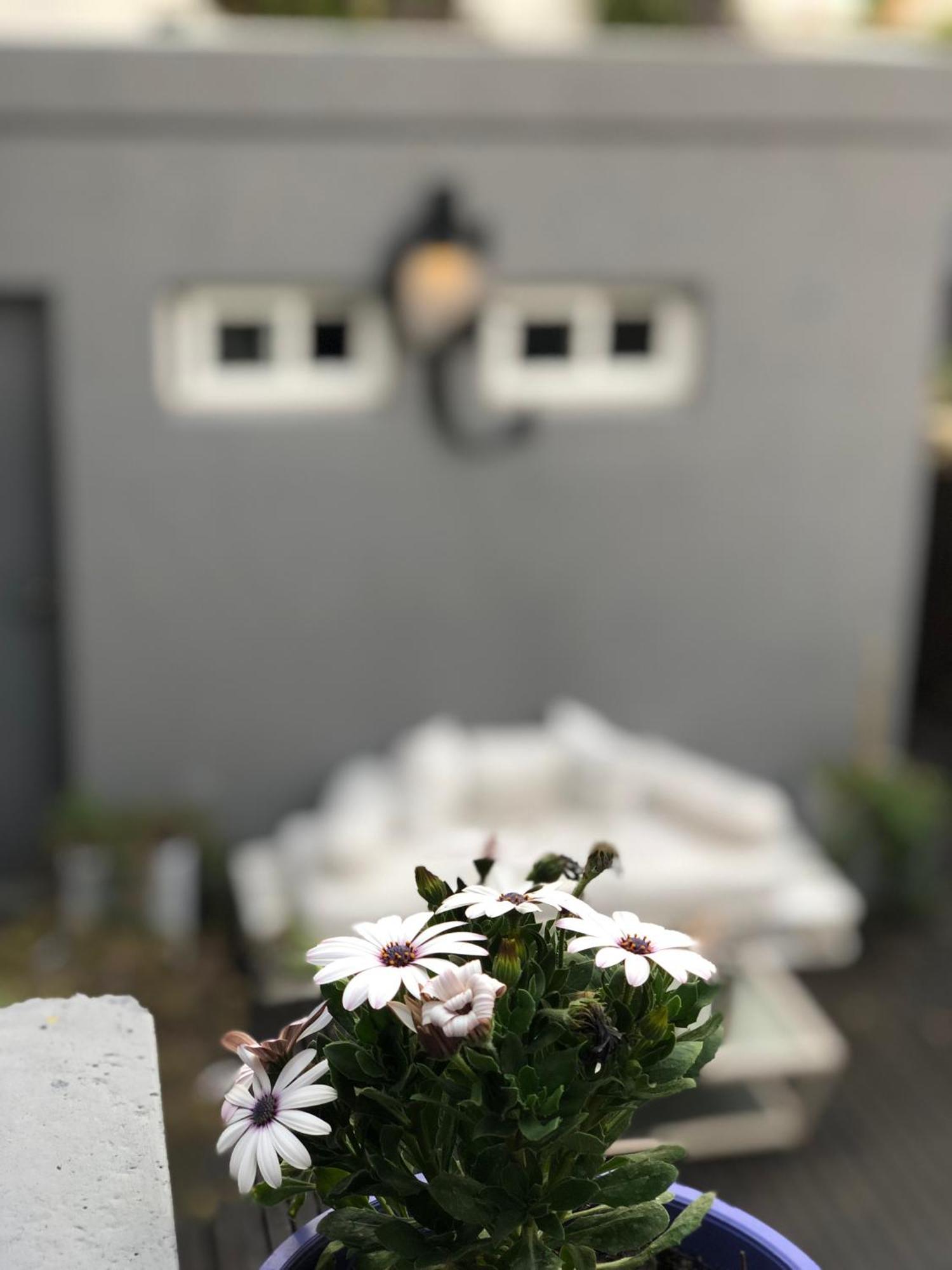 Cool Clima Bed and Breakfast Olivos Esterno foto